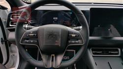 بي واي دي كوين L DM-i